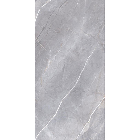 Керамический гранит РИАЛЬТО SG562402R 60х119,5 серый декор левый лаппатированный